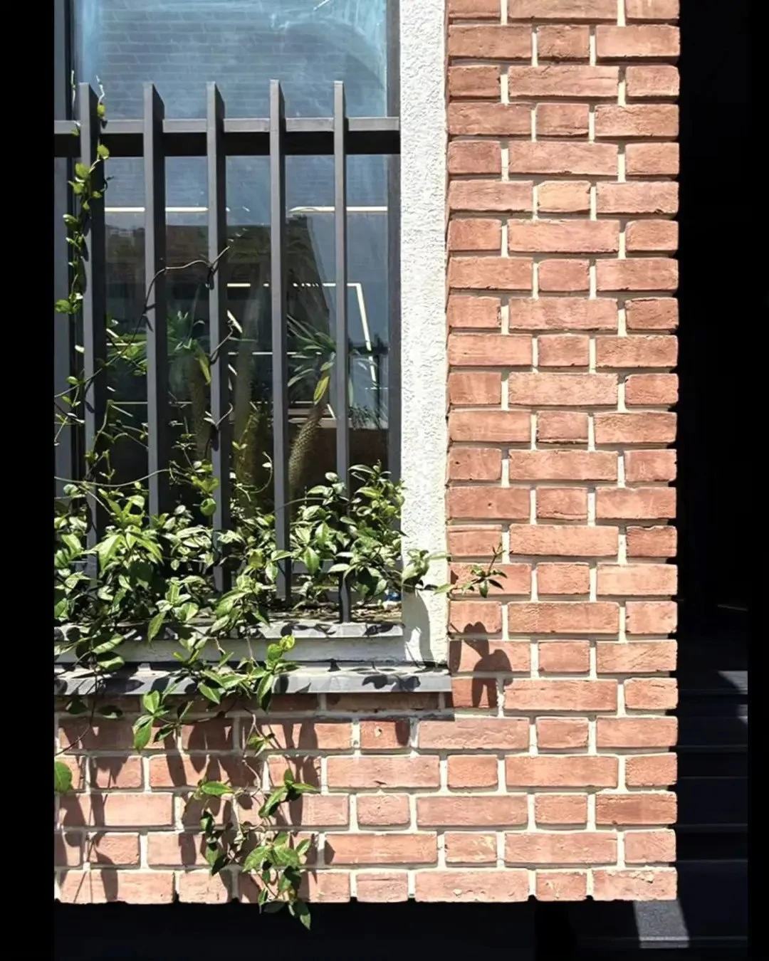 عکس ساختمان نونهال